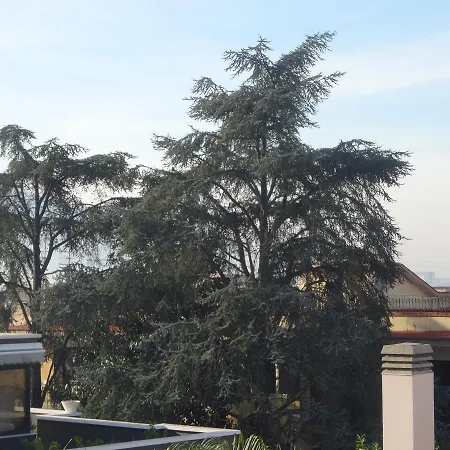 Amphitheatrum Gate 3*